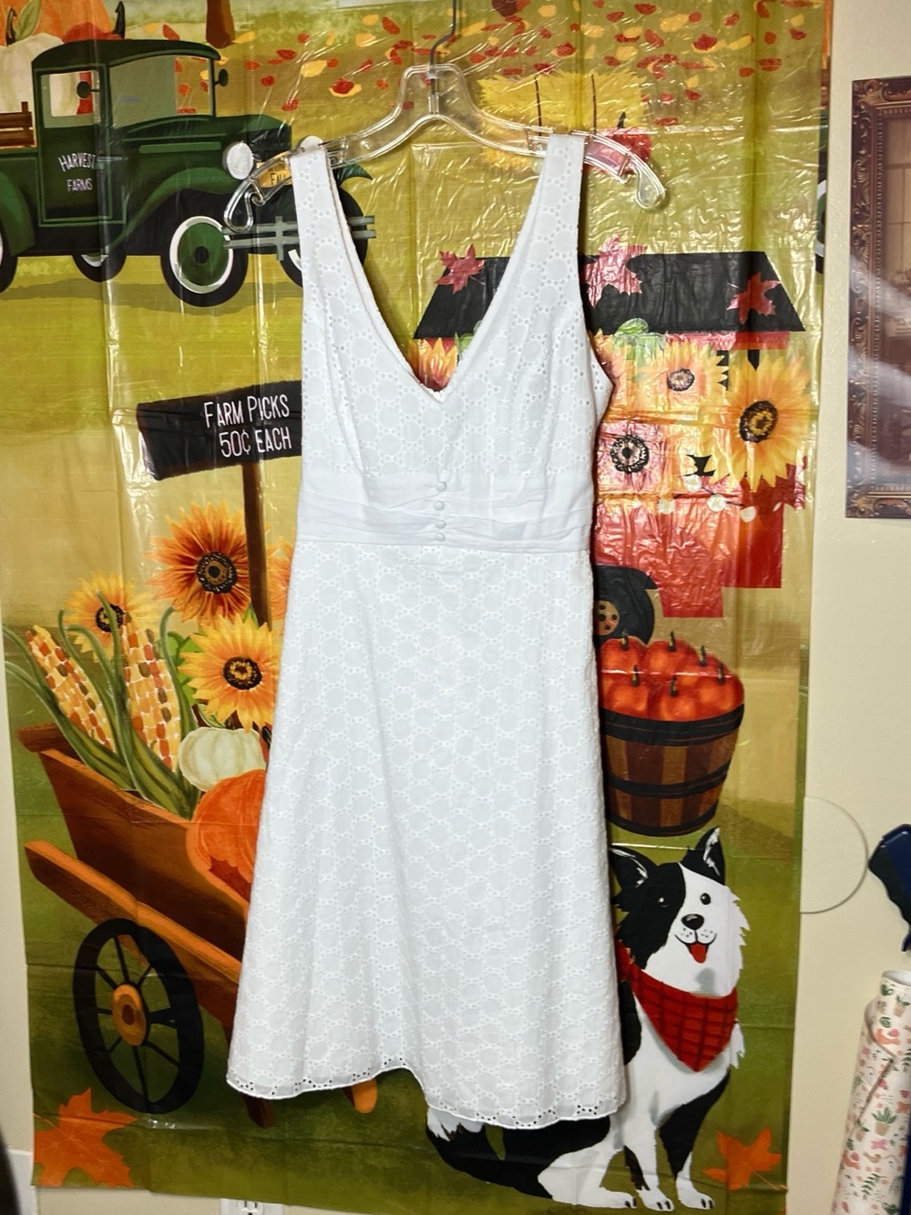 B. Smart White Eyelet V-Neck A-Line Sundress Bow Belt Zipper Cotton